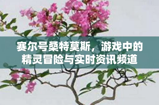 游戏中的精灵冒险与实时资讯频道图片