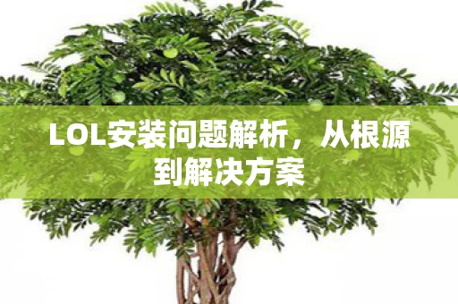 LOL安装问题解析图片