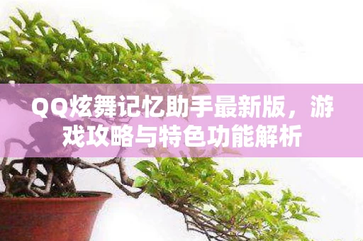 QQ炫舞记忆助手最新版图片