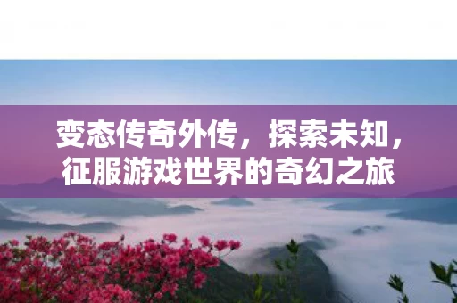 征服游戏世界的奇幻之旅图片