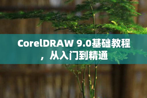CorelDRAW 9图片