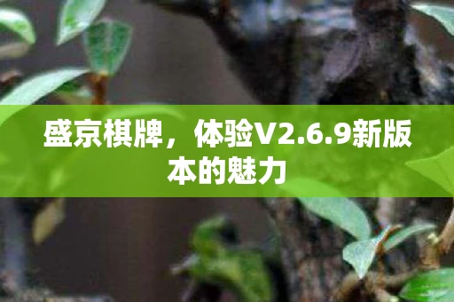 9新版本的魅力图片