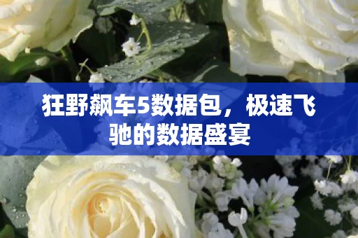 极速飞驰的数据盛宴图片