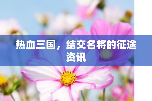 结交名将的征途资讯图片
