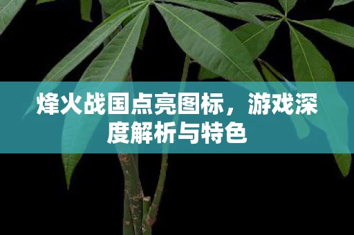 游戏深度解析与特色图片
