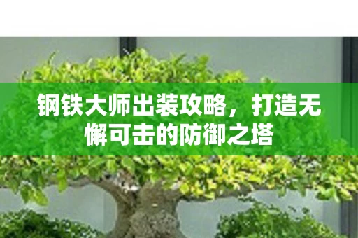打造无懈可击的防御之塔图片