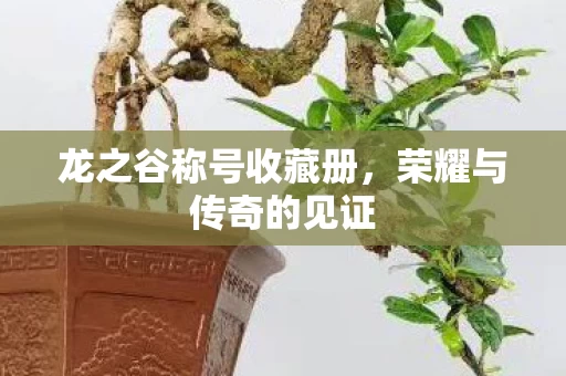 龙之谷称号收藏册图片
