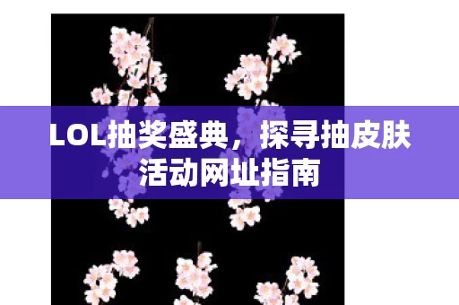 探寻抽皮肤活动网址指南图片