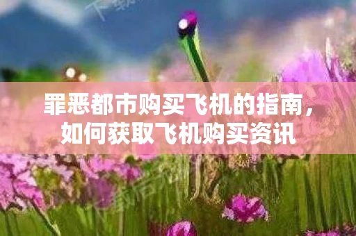 罪恶都市购买飞机的指南图片