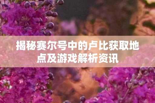 揭秘赛尔号中的卢比获取地点及游戏解析资讯图片