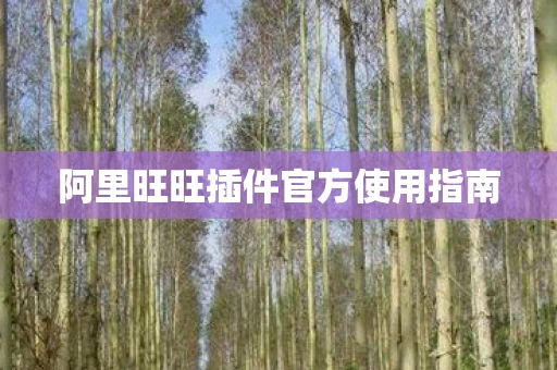 阿里旺旺插件官方使用指南图片