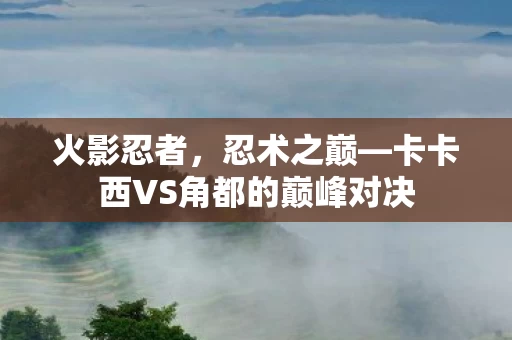 卡卡西VS角都的巅峰对决图片