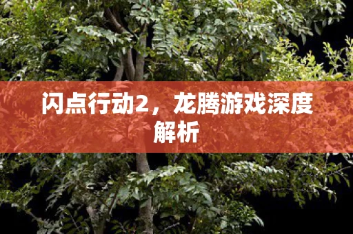 龙腾游戏深度解析图片