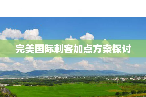完美国际刺客加点方案探讨图片