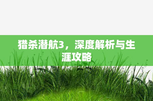 深度解析与生涯攻略图片