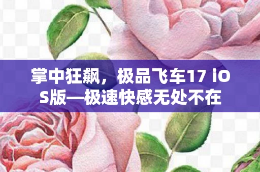 极品飞车17 iOS版图片