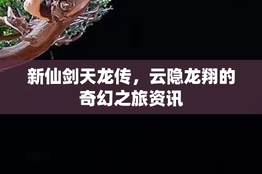 云隐龙翔的奇幻之旅资讯图片