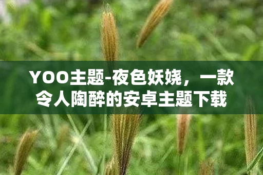 一款令人陶醉的安卓主题下载图片