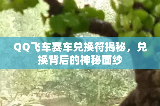 QQ飞车赛车兑换符揭秘图片