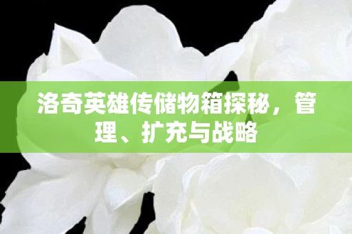 洛奇英雄传储物箱探秘图片