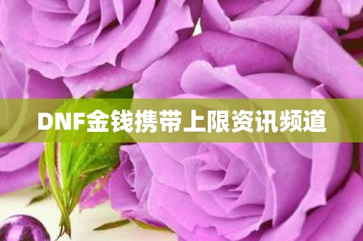 DNF金钱携带上限资讯频道图片