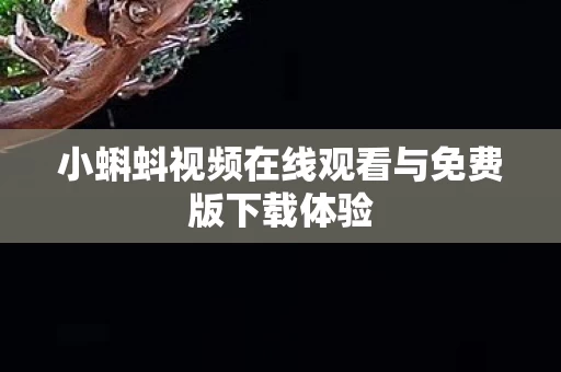 小蝌蚪视频在线观看与免费版下载体验图片