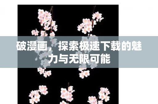 探索极速下载的魅力与无限可能图片