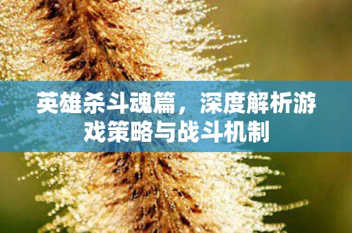 深度解析游戏策略与战斗机制图片