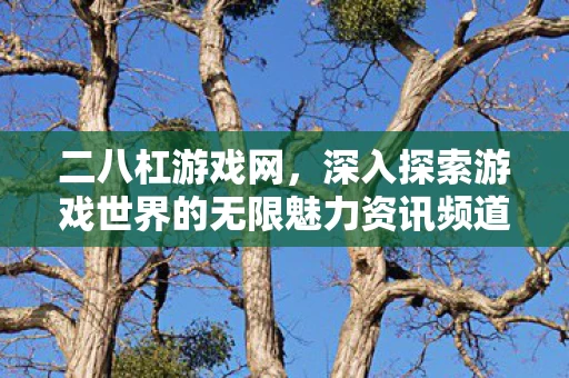 深入探索游戏世界的无限魅力资讯频道图片