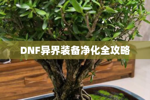 DNF异界装备净化全攻略图片