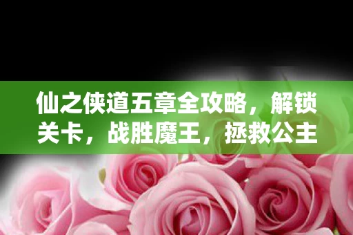 仙之侠道五章全攻略图片