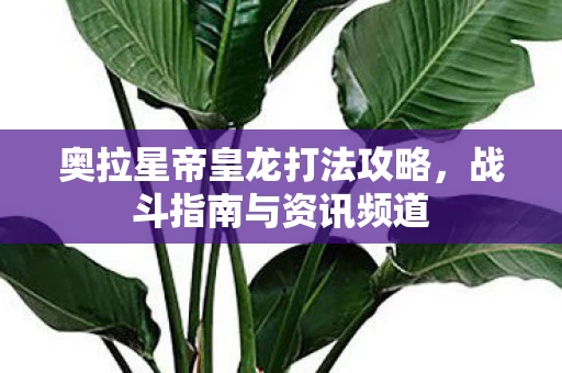 奥拉星帝皇龙打法攻略图片