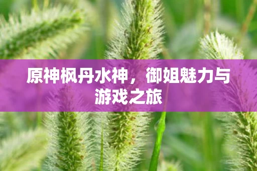 御姐魅力与游戏之旅图片