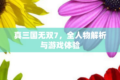 全人物解析与游戏体验图片