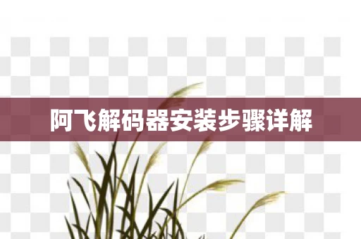 阿飞解码器安装步骤详解图片