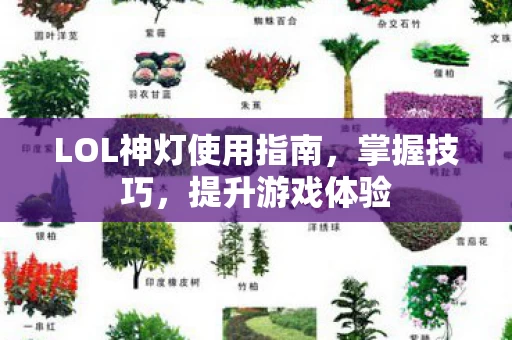 LOL神灯使用指南图片