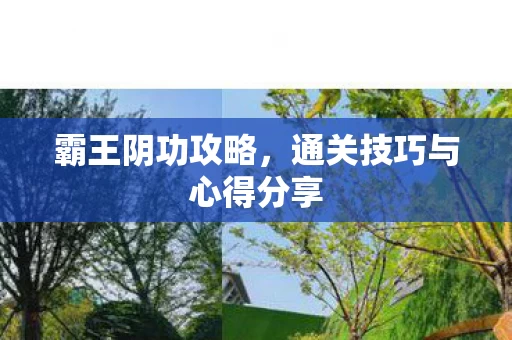 通关技巧与心得分享图片
