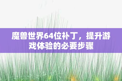 提升游戏体验的必要步骤图片
