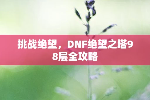 DNF绝望之塔98层全攻略图片
