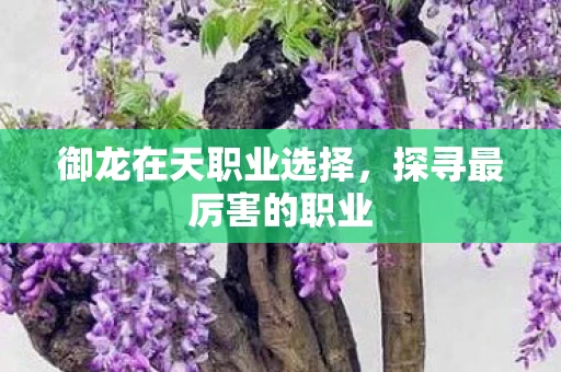 御龙在天职业选择图片