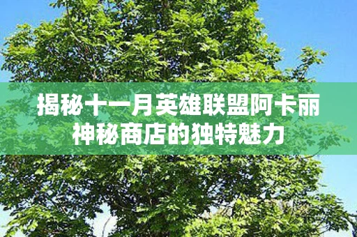揭秘十一月英雄联盟阿卡丽神秘商店的独特魅力图片