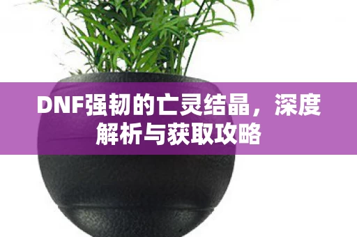 DNF强韧的亡灵结晶图片