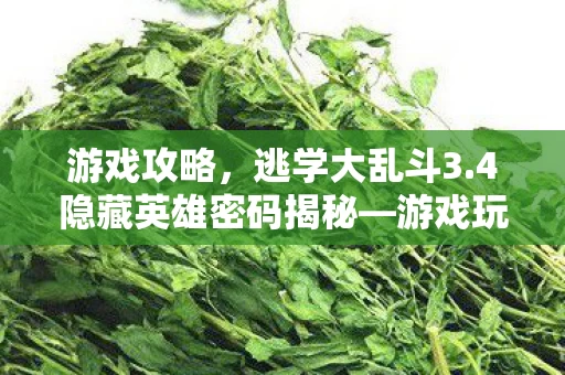 4隐藏英雄密码揭秘图片