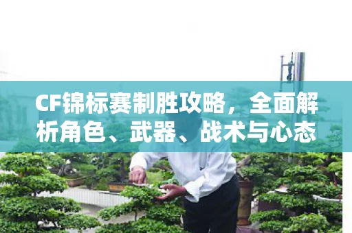 CF锦标赛制胜攻略图片
