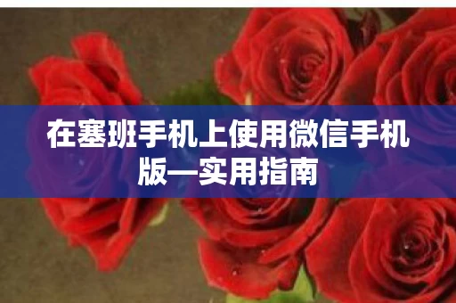 在塞班手机上使用微信手机版图片