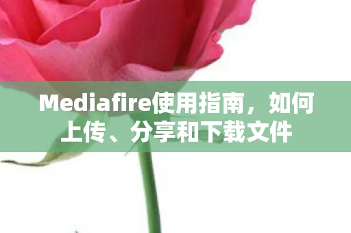 Mediafire使用指南图片