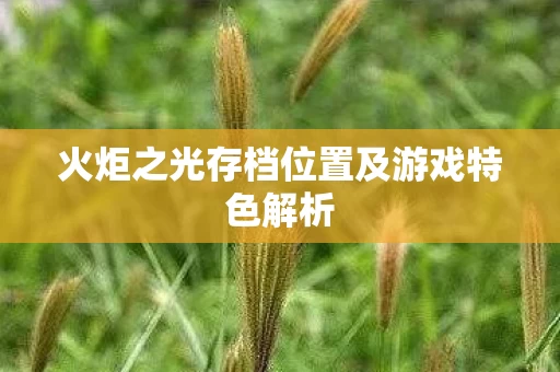 火炬之光存档位置及游戏特色解析图片