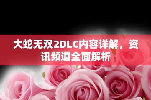 大蛇无双2DLC内容详解图片