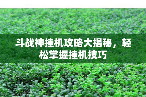 斗战神挂机攻略大揭秘图片