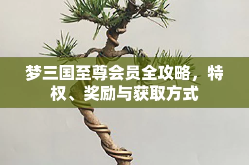梦三国至尊会员全攻略图片